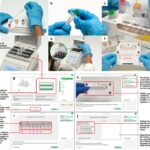 Dragonfly Sample-to-Result Workflow