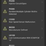 Car diagnostic tool interface showing error codes