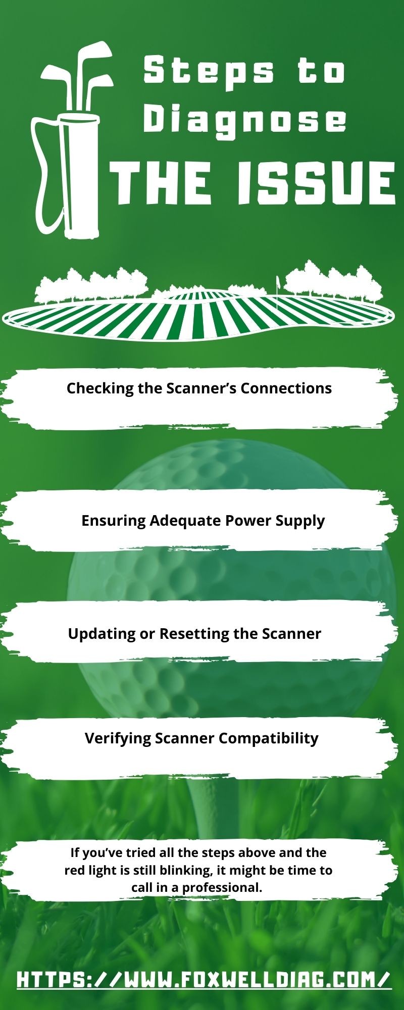 Steps to Diagnose the Issue Infographic