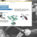 Entry-Level Diagnostic Courses