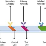 Microfluidic chip integration