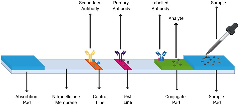 Microfluidic chip integration