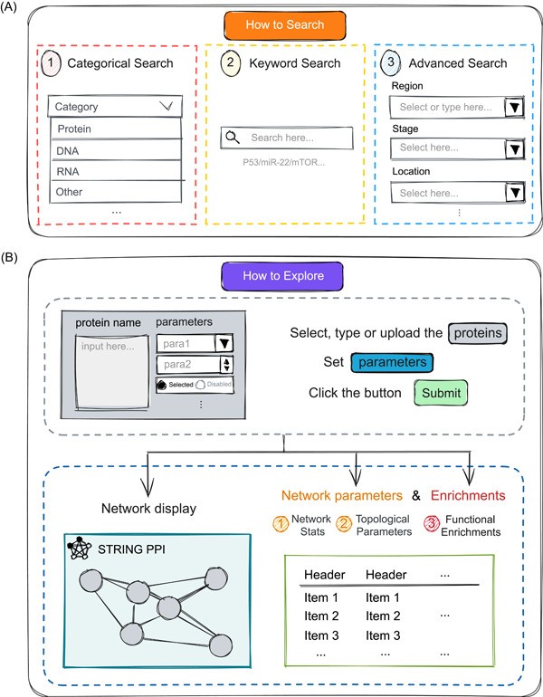 CBD2 User Interface