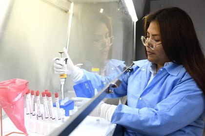 Scientist Working in Lab