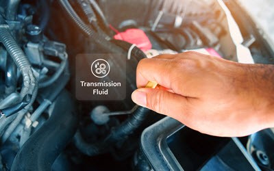 MINI Transmission Fluid Check