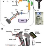 Schematic of the portable OCT system and handheld imaging scanner.
