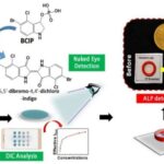Schematic representation of the point-of-care ALP biosensor fabrication and detection principle