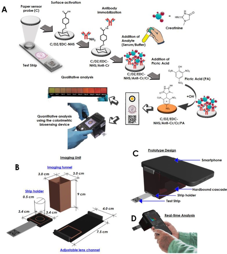 Illustration of the step-by-step fabrication of the sensor probe and the proposed colorimetric sensing device