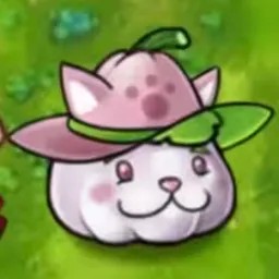New Plants Cat Squash
