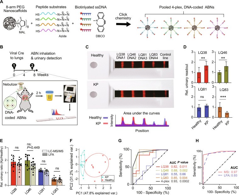 Lateral flow assay (LFA) for the direct multiplexed detection of urinary DNA barcodes at room temperature