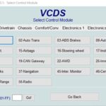 Ross-Tech VCDS Interface